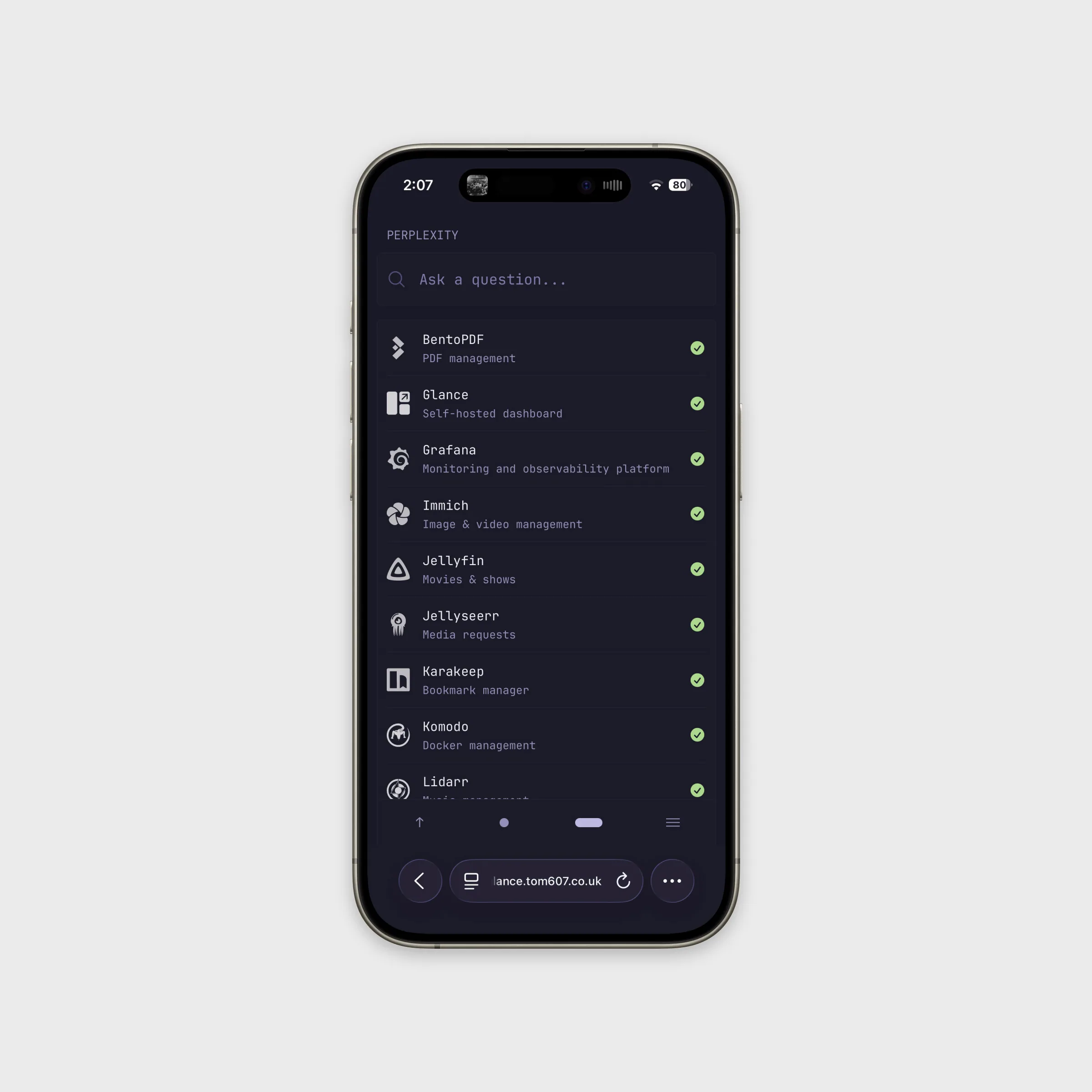 iPhone dashboard mockup