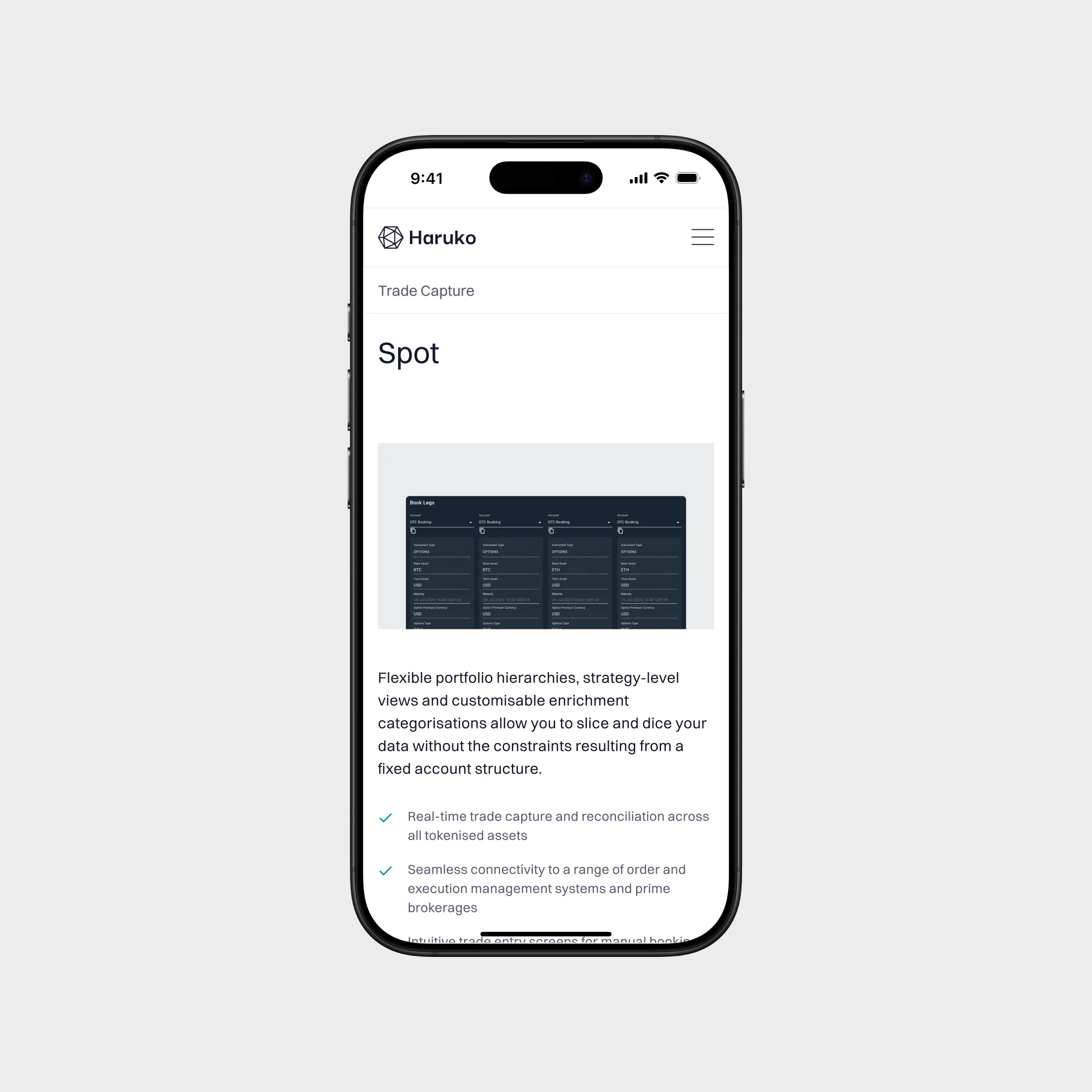 iPhone website mockup